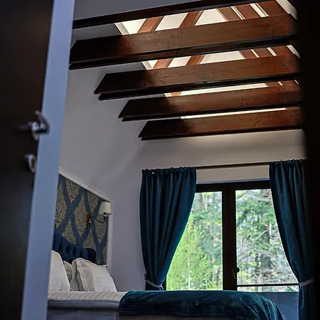 Bed & Breakfast Tom Sinaia